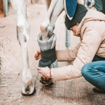 Incrediwear Equine Circulation Leg Wraps - Pair